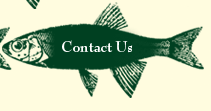 Contact Eva Wells